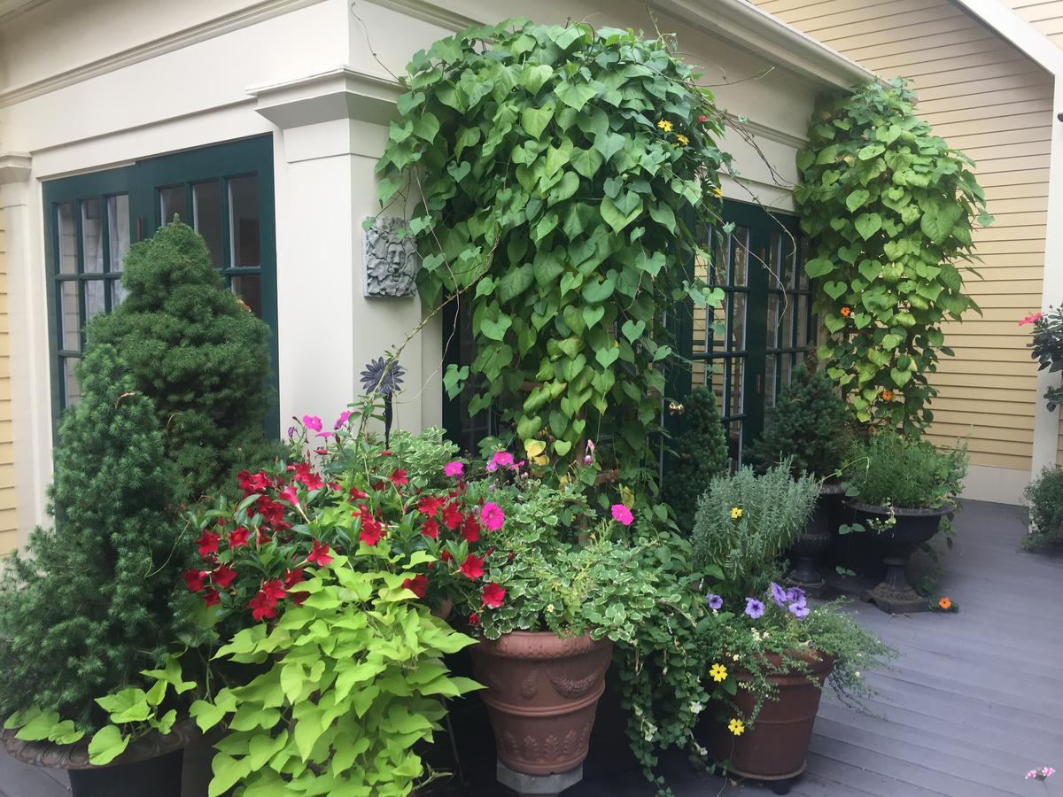 케임브리지 메리 프렌티스 인 B&B 외부 사진
